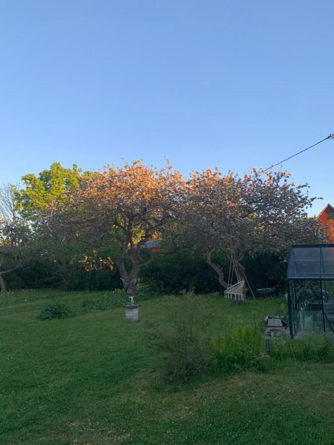 Martebo Bed & Breakfast Tingstäde 외부 사진